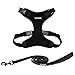 Best Pet Supplies Voyager Step-in Lock Dog Harness and Reflective Dog Leash Combo Set with Neoprene Handle 5ft Long - Supports Small, Medium and Large Breed Puppies/ Cats - Black (w Leash), XS