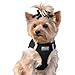 CHOKE FREE REFLECTIVE STEP IN ULTRA HARNESS - BLACK - ALL SIZES - AMERICAN RIVER (XXS) by Doggie Design
