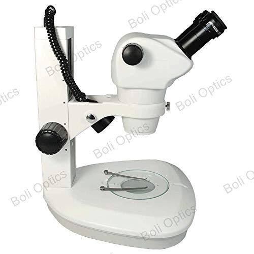 Amazon.com : 8X-50X WF Binocular Zoom Stereo Microscope Dual