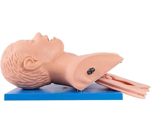 Lemita Human Body Adult Intubation Manikin Teaching Model 110-220V Electronic Airway Management Trainer Tracheal Intubation Training Simulator Model For Science Lab Education #TOP6