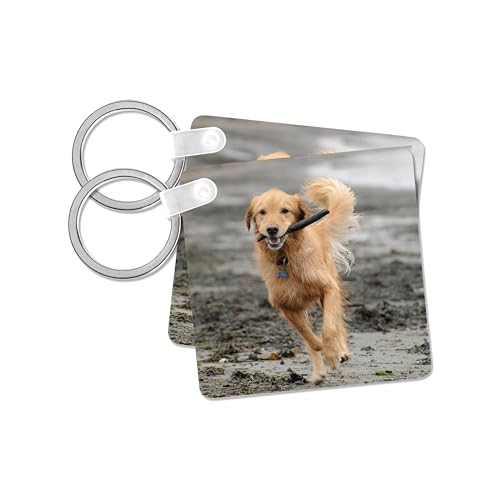 3dRose, Golden retriever running with stick in mouth, on grey