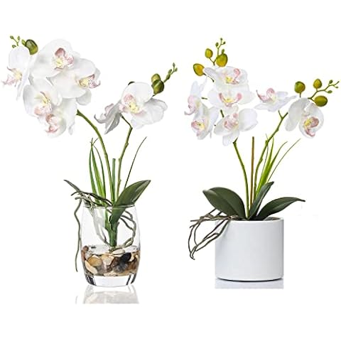 Jusdreen 2 PCS Artificial White Flower Bonsai with Glass Vase Vivid Orchid Flowers Arrangement Phalaenopsis Flowers Pot for Home Office Décor Table Centerpiece House Decorations Cover