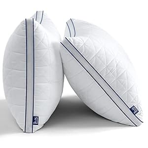 BedStory Bed Pillows for Sleeping-Queen Pillows 2 Pack-Cooling Pillows with Mesh Design-Premium Soft Down Alternative Fill Supportive for Back, Stomach or Side Sleepers,White