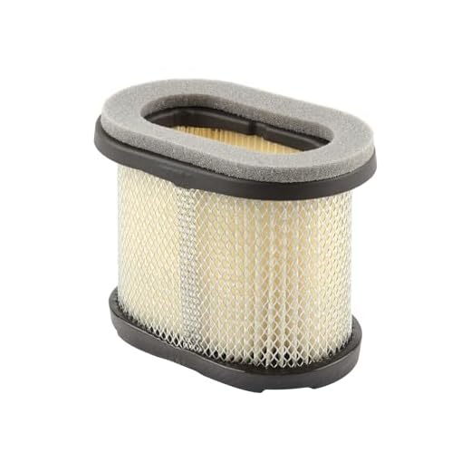 Briggs and Stratton äkta 697029 luftfilter patron