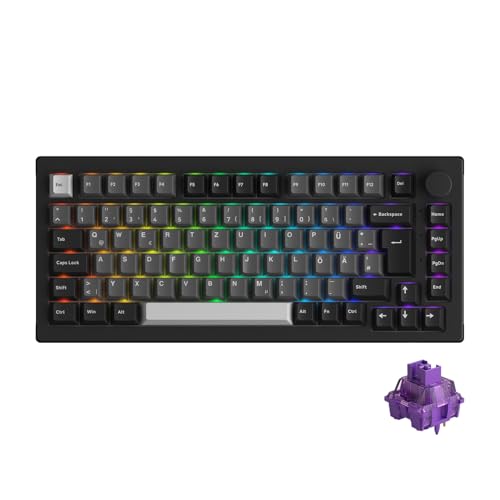 Akko Tastiera wireless 5075B Plus VIA, 3 modalità, layout ISO al 75%, tastiera da gioco, RGB sostituibile a caldo, tasti Cherry PBT, manopola rotante per Win/Mac (nero-argento, V3-viola)