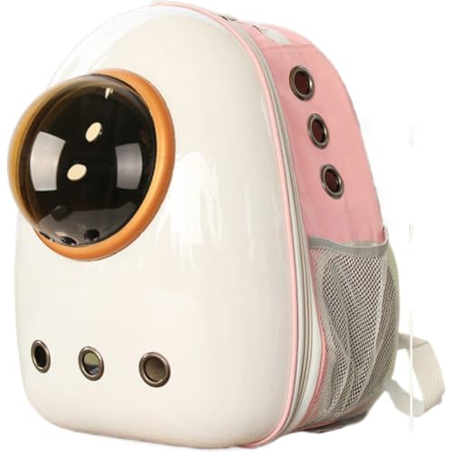 �y�b�g�L�����[�o�b�O ���L�L�����[ �����b�N �F���D �J�v�Z�� �y�� ���^���p �h���C�u �L�����s���O ���s �ʉ@ �ЊQ ���p (�s���N)