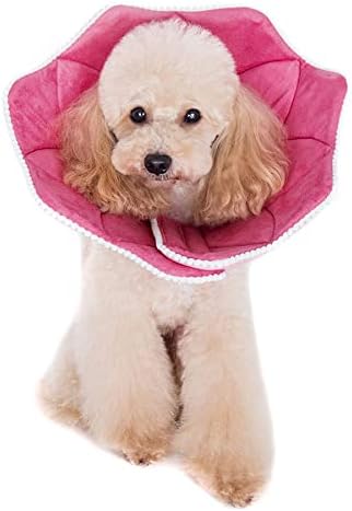 Alfie Pet - Noel Recovery Collar (for Dogs and Cats) - Pattern: Pink Pom Pom, Size: Small