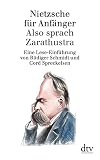 Nietzsche für Anfänger: Also sprach Zarathustra - Eine Lese-Einführung - Rüdiger Schmidt, Cord Spreckelsen 