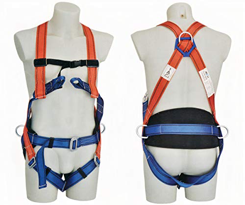 Arn�s Seguridad Trabajo Con Protecci�n Lumbar | Arn�s Anti�cidas 3 puntos de Anclaje | Arn�s Trabajo de Calidad Profesional Certificado EN361 y EN358 | Arn�s Ajustable | Envi� desde Espa�a