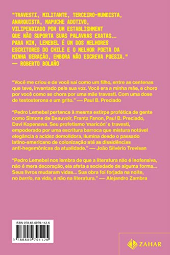 Poco hombre: Escritos de uma bicha terceiro-mundista