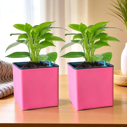 Image of Indian Discovery Self Watering Tabletop Planter| Flower Pots for Home, Terrace, Balcony, Garden Decor Flower Pots(2 PC, Baby Pink, Square) |6 Inch UV-Resistant Plastic Plant Pots