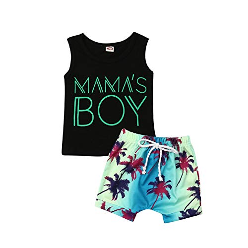 Image of Ledy Champswiin Toddler Boy Clothes Baby Summer Outfit Dinosaur Letter Print Cotton Tops+Grey Elastic Shorts 2pcs