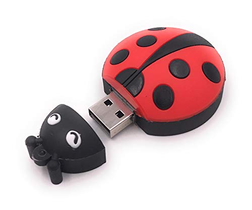 Onwomania Coccinella dolce portafortuna Chiavetta