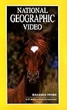  Das edle Pferd - National Geographic