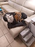 pfoten&nasen® Hundebett Sofa [Beige, S - 80x75cm], Sofabett Hund, Sofaschutz Hund, Wasserdicht Hundematte Waschbar, Hundekissen für Große, Mittelgroße und Kleine Hunde, Hundesofa.