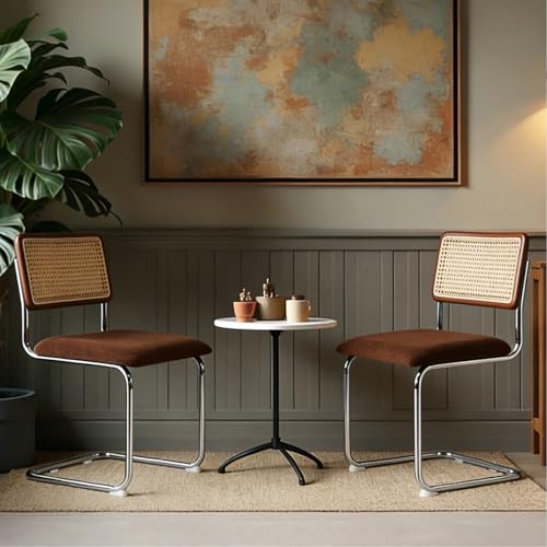 Zesthouse Rattan Dining Chairs Set of 2, Mid Century Modern