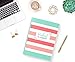 Budget Planner: Weekly and Monthly Financial Organizer | Savings - Bills - Debt Tracker | Teal Pink White Stripes (January-December 2020)