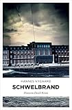  Schwelbrand: Hinterm Deich Krimi
