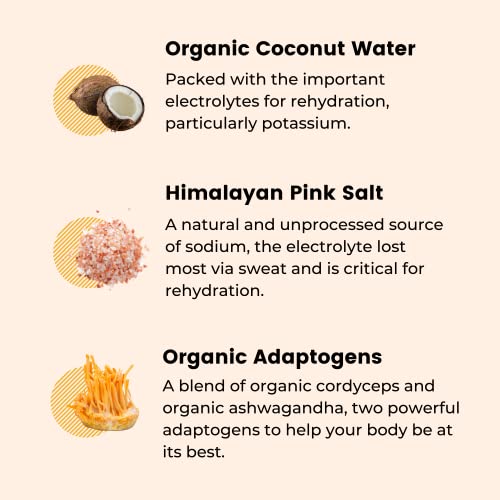 Nooma Organic Electrolyte Sports Drink | Electrolyte Drink With Organic Coconut Water | Workout Hydration Drink With No Added Sugar | 30 Calories | Pack Of 12 Sports Drinks (16.9Oz) | Mango #TOP5