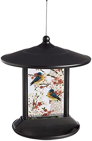 Evergreen Bluebird Solar Hanging Bird Feeder