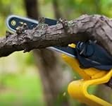 Review Image by shon shon