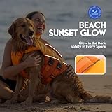ASENKU Schwimmweste Hund für Kleine Hunde XS,Verstellbar & Ripstop Hundeschwimmweste,Rettungsweste für Hunde mit Griff und Reflektierend zum Chihuahua, Dackel, Französische Bulldogge,Labrador