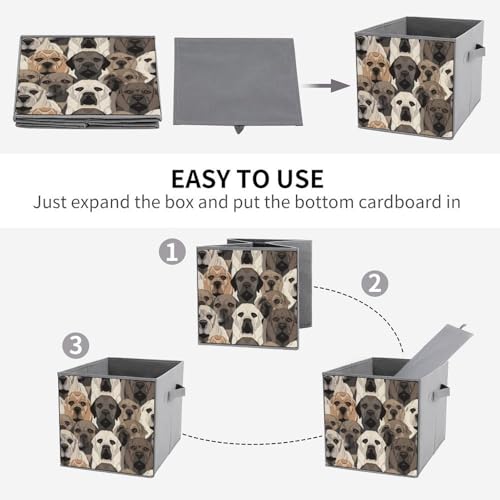Boîtes de rangement pliables chien pour étagères et placard