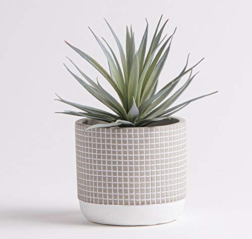 Kurrajong Farmhouse 8" x 4.5" Artificial Plant in Concrete Cement Pot, Beautiful feaux