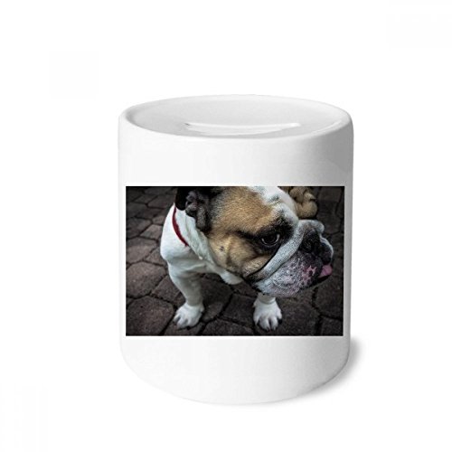 Bulldog tirelire en céramique animaux multicolore pour enfants et adultes hauteur 3,5 pouces