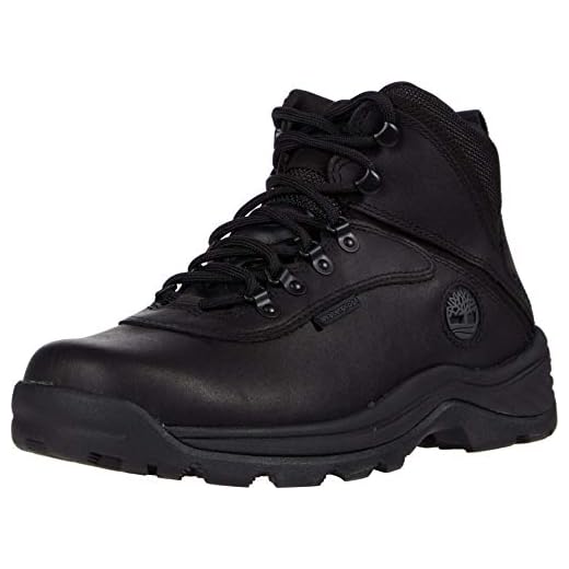 Timberland Men's White Ledge Mid Waterproof Hiking Boot, Black, 12
