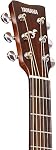 Yamaha FG800 Standard Acoustic Guitar (Sand Burst)
