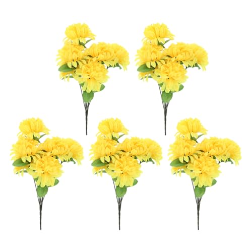 GLSTOY 5 p F VN eԑ A L ׍HI  @ ƏΉ