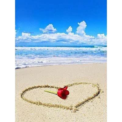 Diamant Peinture Kit broderie point de croix et mosaïque strass 5D Rose de plage grand format