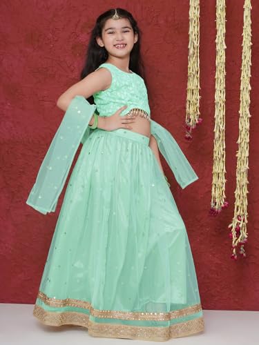 AJ DEZINES Kids indian Ethnic Wedding Wear Schiffli Sequence Lehenga Choli for Girls With Dupatta4