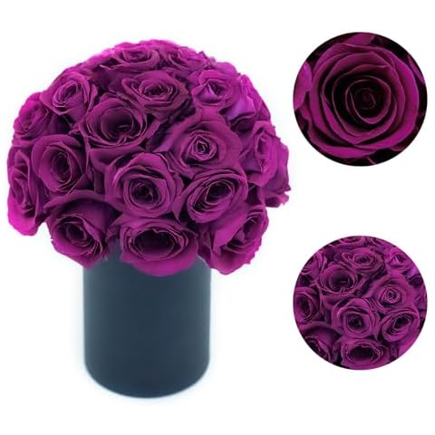ANLUNOB Valentine's Day Gift for Wife Romantic Roses Gifts Preserved Roses in Box Gifts for Wife Birthday Anniversary Long Lasting Roses Last 3 Year Mother Day Rose Gifts for Her Birthday Gift Cover