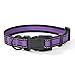 Mile High Life Dog Collar | Reflective 3M Stripe with Nylon Band (Purple/Black, Medium Neck 13"-17" -40 lb)