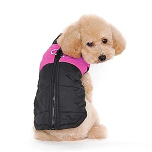 Winter Warm Pet Hund Kleidung klein wasserdichte Hundemantel Jacke Winter Gesteppt Gepolstert Puffer Pet Kleidung…