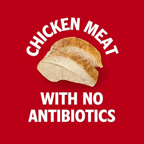 Campbell's Condensed Gluten Free Cream of Chicken Soup, 10.5 oz Can