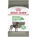 Royal Canin Large Digestive Care Dry Dog Food, 30 lb. bag