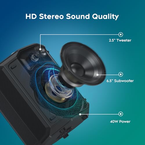Karaoke Machine with 2 Microphones,Portable Bluetooth 5.3 Karaoke Speaker PA System with Echo Adjustment for Adults for Outdoor Events,Gatherings and Parties,Wedding Host, (Karaoke)
