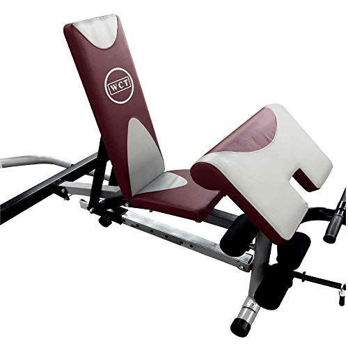 Estação Musculação WCT Fitness Supino Voador Banco Scott Puxada Cadeira Extensora Flexora Treino Sup