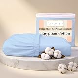 Cottington Lane Olympic Queen Fitted Sheet Only, 100% Egyptian Cotton Bottom Sheet (66' x 80'), 15 Inch Deep Pocket, Hotel Quality Sateen Weave, Soft, Breathable, Cooling & Durable, Light Blue