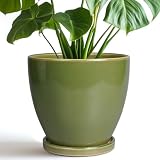 EPFamily 8 Inch Planter - Ceramic Plant Pot with Drainage Hole and Tray Round Planters Modern Flower Pot for Room Home Office Patio Porch Garden Decor Green
