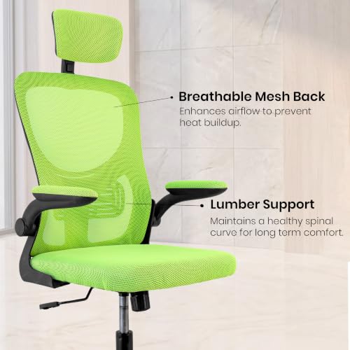 Image of NORMAN JR Green | High Back Imported Mesh Fabric Boss Office Chair | Y Design Ergonomic Back Support | 2D Aero Design Adjustable Armrests | Synchro Tilt Lock Mechanism Support