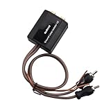 Isolatore di rumore audio a 2 canali, filtro antirumore RCA per audio auto Home Stereo Ground Loop Isolator