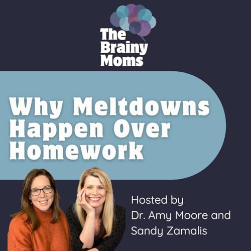 Why Meltdowns Happen Over Homework