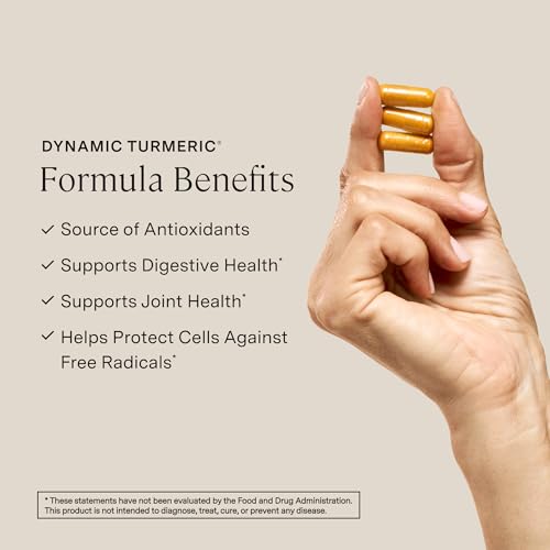 Image of Stonehenge Health Dynamic Turmeric Curcumin with Ginger - High Potency - 1,650 mg Turmeric with 95% Curcuminoids & BioPerine, 90 Vegetarian Capsules