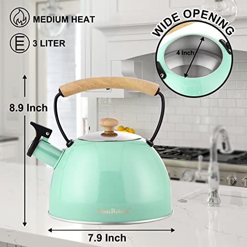 Hrhongrui Stove Top Whistling Tea Kettle 304 Stainless Steel Teakettle Teapot With Ergonomic Wood Handle 3.2 Quart /3 Liter Green #TOP3