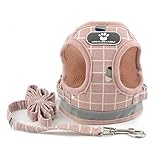 Material: hecho de tela de alta calidad, suave y cómodo de llevar. Diseño acolchado de malla para transpirable, también sin tirones para tu amante mascota. Diseño a cuadros, aspecto más atractivo.