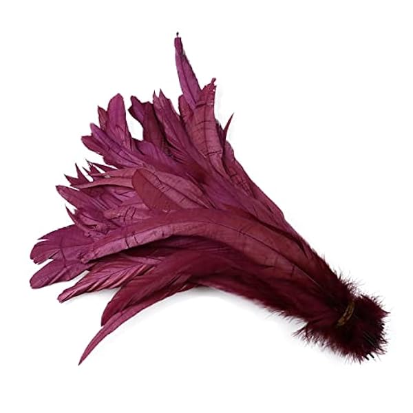 100 stks Natuurlijke Haan Veren Staart Pluimen for Craft Diy Naaien Kleding Accessoire Party Decoratie Boas Frather (Color : Wine, Size : 35-40cm)